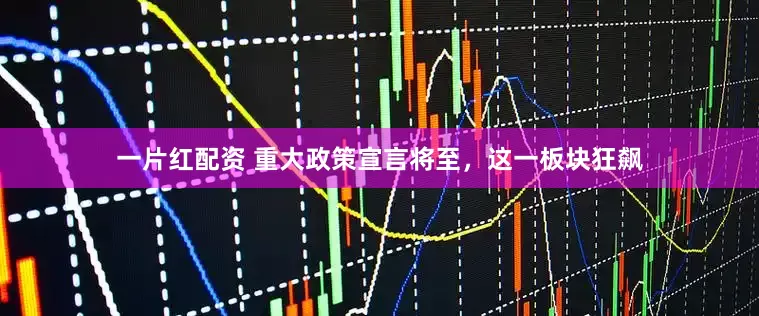 一片红配资 重大政策宣言将至，这一板块狂飙