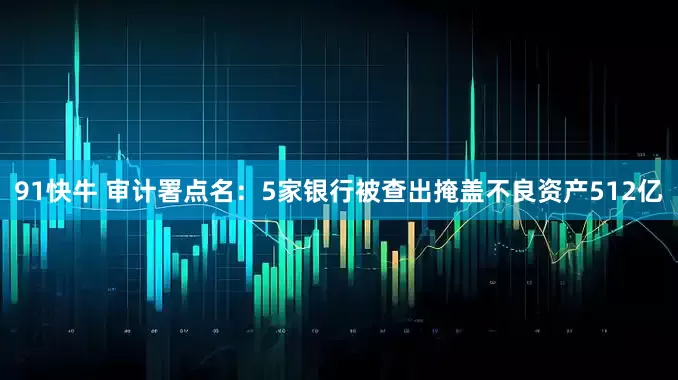 91快牛 审计署点名：5家银行被查出掩盖不良资产512亿
