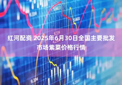 红河配资 2025年6月30日全国主要批发市场紫菜价格行情