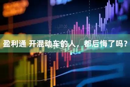盈利通 开混动车的人，都后悔了吗？