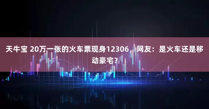 天牛宝 20万一张的火车票现身12306，网友：是火车还是移动豪宅？