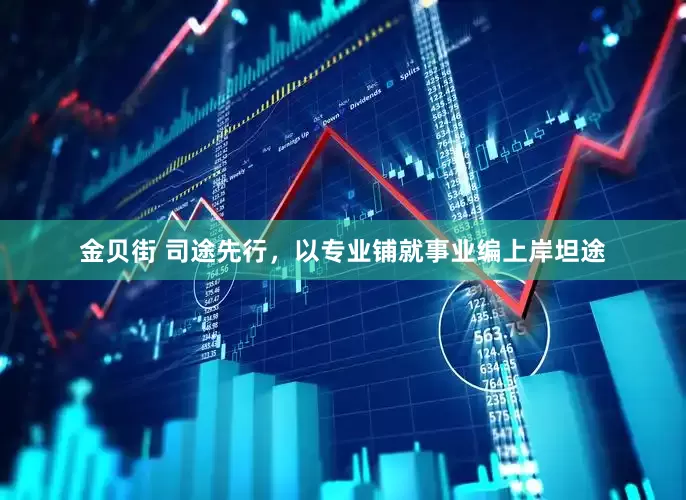 金贝街 司途先行，以专业铺就事业编上岸坦途